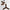Acrylic Wood Finish Designer Ceiling Fan-MinimalisticDecor.com