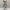 Bearbrick - Limited Edition Collectible Figurine 100cm-MinimalisticDecor.com