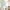 Birdcage Flower Wall Sticker – PVC Wall Decal-MinimalisticDecor