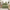 Bubble Puff Italian Sofa – Ultra-Comfortable Modern Lounge Seating-MinimalisticDecor.com