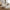 Cama Designer Lounge Sofa Set-MinimalisticDecor.com