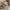 Chambre Comfort Dining Chair-MinimalisticDecor.com
