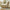 Classy Living Room Rocking Chair-MinimalisticDecor.com