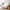 Cloud Stretch Sofa Couch – Ultra-Comfortable Modern Lounge Seating-MinimalisticDecor.com