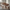 Comedor Classic Dining Table Set – Wooden Modern Dining Room Furniture-MinimalisticDecor.com