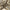 Crystal Glass Chandelier – Illuminate with Elegance-MinimalisticDecor.com