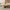 Designer Pebble Wood Log Coffee Table – Organic Veneer Finish-MinimalisticDecor.com