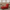 Designer Wing Back Sofa Chair for Living Room-MinimalisticDecor.com
