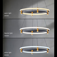 Dual Ring LED Chandelier-MinimalisticDecor.com