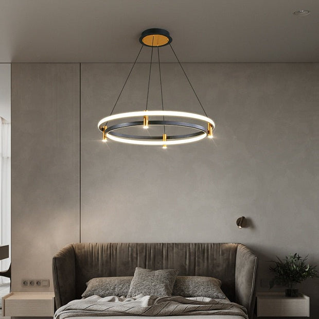 Dual Ring LED Chandelier-MinimalisticDecor.com