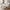 French Cream Gloss Dining Table Set – Sophisticated Elegance-MinimalisticDecor.com