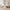 French Cream Gloss Dining Table Set – Sophisticated Elegance-MinimalisticDecor.com