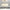 Glass Feather Chandelier: Elegant Lighting Fixture-MinimalisticDecor.com