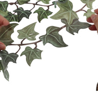 Green Plant Vine Wall Sticker – PVC Wall Decal-MinimalisticDecor