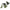 Green Plant Vine Wall Sticker – PVC Wall Decal-MinimalisticDecor