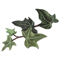 Green Plant Vine Wall Sticker – PVC Wall Decal-MinimalisticDecor