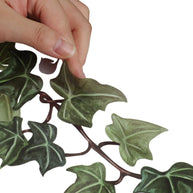 Green Plant Vine Wall Sticker – PVC Wall Decal-MinimalisticDecor