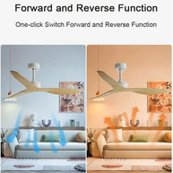 Industrial Wind Ceiling Fan with ABS Blades Silent Fan-MinimalisticDecor.com