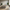 Italian Chesterfield Sofa Set – Custom Fabric-MinimalisticDecor.com