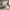 Italian Chesterfield Sofa Set – Custom Fabric-MinimalisticDecor.com