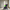 KAWS Companion Resting place Statue-MinimalisticDecor.com