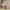 KAWS Gone Pink Statue Sculpture-MinimalisticDecor.com