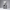 KAWS Hug Together Vinyl Figure Black-MinimalisticDecor.com