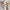 Lava Pendant Bundle Chandelier Lighting-MinimalisticDecor.com