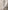 LED Attic Bend Tubes Chandelier Lighting-MinimalisticDecor.com