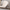 Love & Cuddle Designer Sofa - Pristine Collection-MinimalisticDecor.com