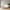 Love & Cuddle Designer Sofa - Pristine Collection-MinimalisticDecor.com