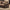 Loveseat Divani Designer Sofa Set – Premium Comfort-MinimalisticDecor.com