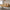 Luxury Designer Sectional Sofa Set-MinimalisticDecor.com
