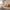 Luxury Designer Sectional Sofa Set-MinimalisticDecor.com