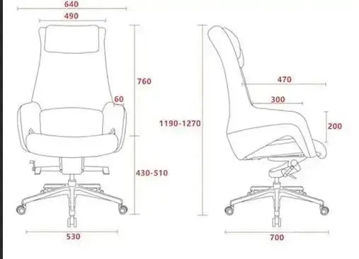 Luxury Ergonomic Swivel Executive Genuine Leather Office Chair-MinimalisticDecor.com