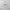 Minimalism Rings Chandelier – Exquisite Design & Style-MinimalisticDecor.com