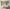 MinimalisticDecor.com-3D Abstract Tree Wallpaper Murals