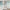 MinimalisticDecor.com-3D Leaves Design Theme: Tropical Wallpaper Murals