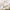 MinimalisticDecor.com-3D Plants Design - Tropical Wallpaper Murals