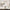 MinimalisticDecor.com-3D Plants Design - Tropical Wallpaper Murals
