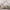 MinimalisticDecor.com-3D Plants Design - Tropical Wallpaper Murals