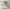 MinimalisticDecor.com-3D Wide Green Tree Wallpaper Murals an Immersive Experience