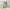 MinimalisticDecor.com-3D Wide Green Tree Wallpaper Murals an Immersive Experience