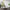 MinimalisticDecor.com-Abstract Green Leaf Wallpaper Mural - Transform Your Space