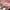 MinimalisticDecor.com-Abstract Pink Wallpaper Mural - Transform Your Space
