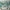 MinimalisticDecor.com-Air Balloons over Green Forest Nursery Wallpaper