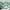 MinimalisticDecor.com-Air Balloons over Green Forest Nursery Wallpaper