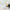 MinimalisticDecor.com-Animals Flying on Air Balloons Nursery Wallpaper