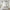 MinimalisticDecor.com-Bamboo Bars Plants Trees Wallpaper for Home Wall Decor