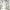 MinimalisticDecor.com-Bamboo Bars Plants Trees Wallpaper for Home Wall Decor